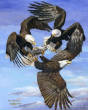 Sky_Warriors-702101.jpg