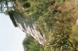 tn_BlackMesaGuardianWithTrees.jpg