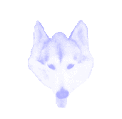 TK_Blue.gif